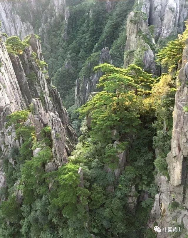 探秘有内胎加自补液行吗？，解答你的疑问